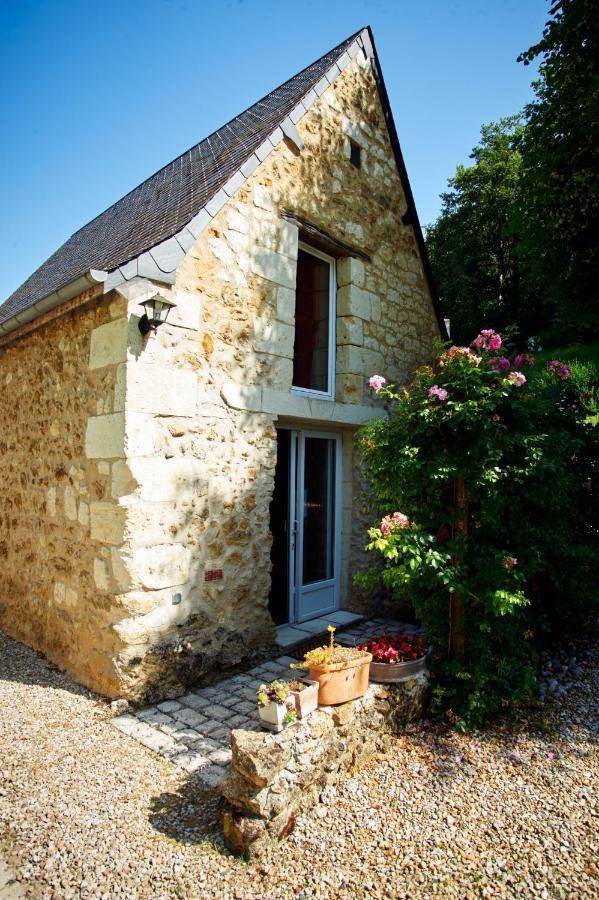 Domaine De La Juranvillerie, Gite Et Chambres D'Hotes Rigny-Ussé Exterior foto