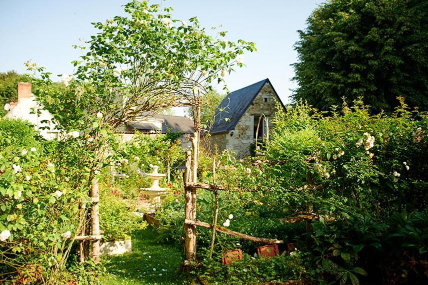 Domaine De La Juranvillerie, Gite Et Chambres D'Hotes Rigny-Ussé Exterior foto