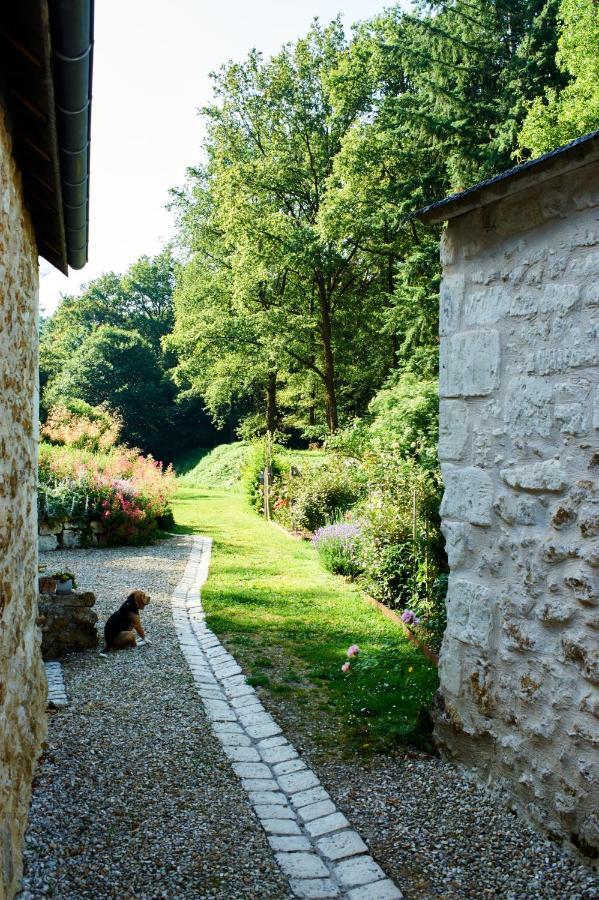Domaine De La Juranvillerie, Gite Et Chambres D'Hotes Rigny-Ussé Exterior foto